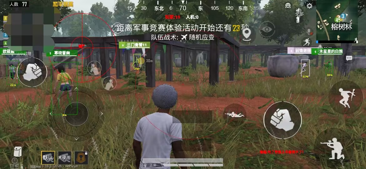和平精英辅助【飞鸟】
